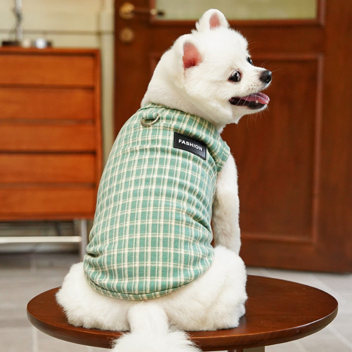 Plush Checkered Dog Turtleneck Outfit_CWMM11134