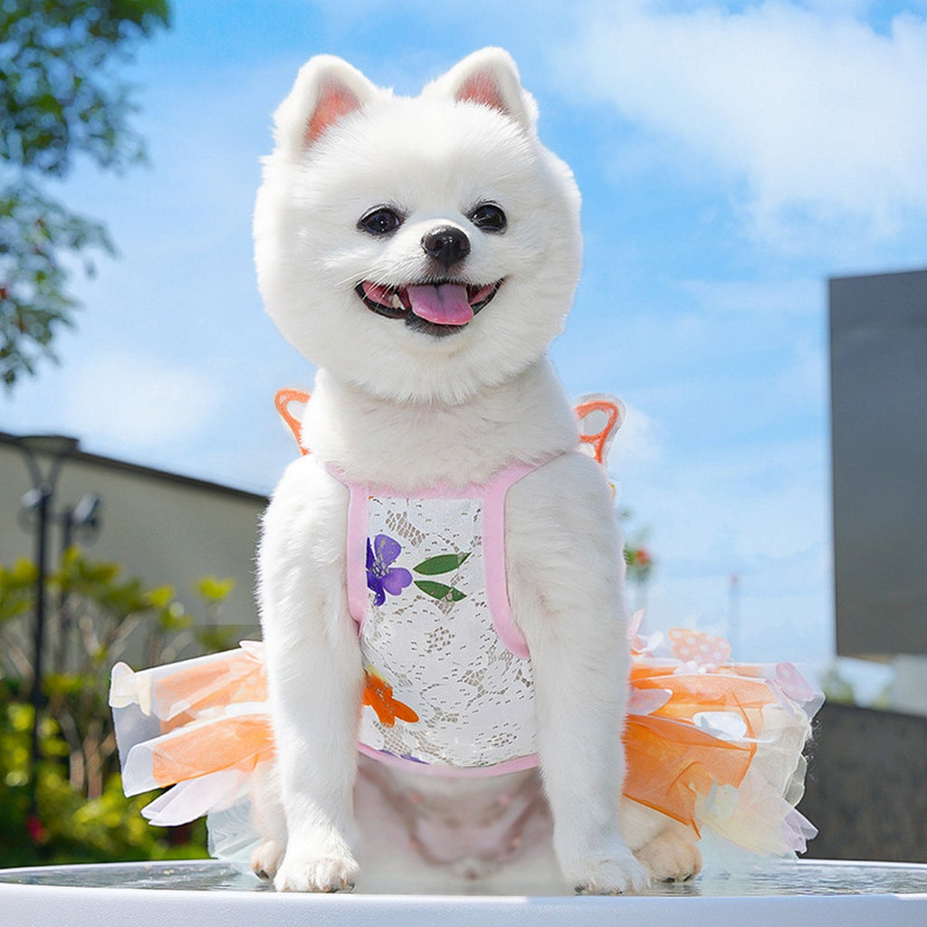 Fluffy Pet Dress with Bow – Princess Style_CWMM11080
