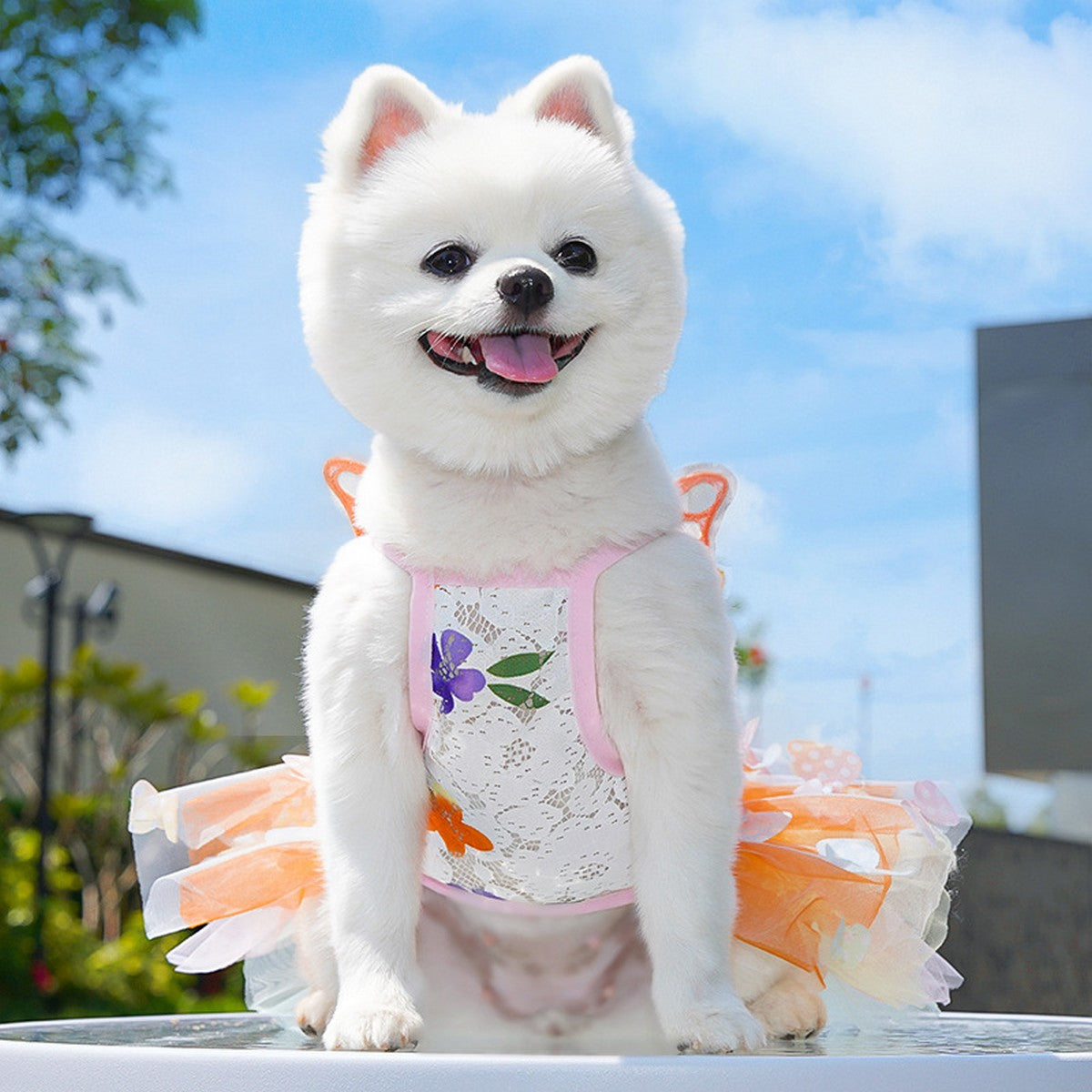 Fluffy Pet Dress with Bow – Princess Style_CWMM11080