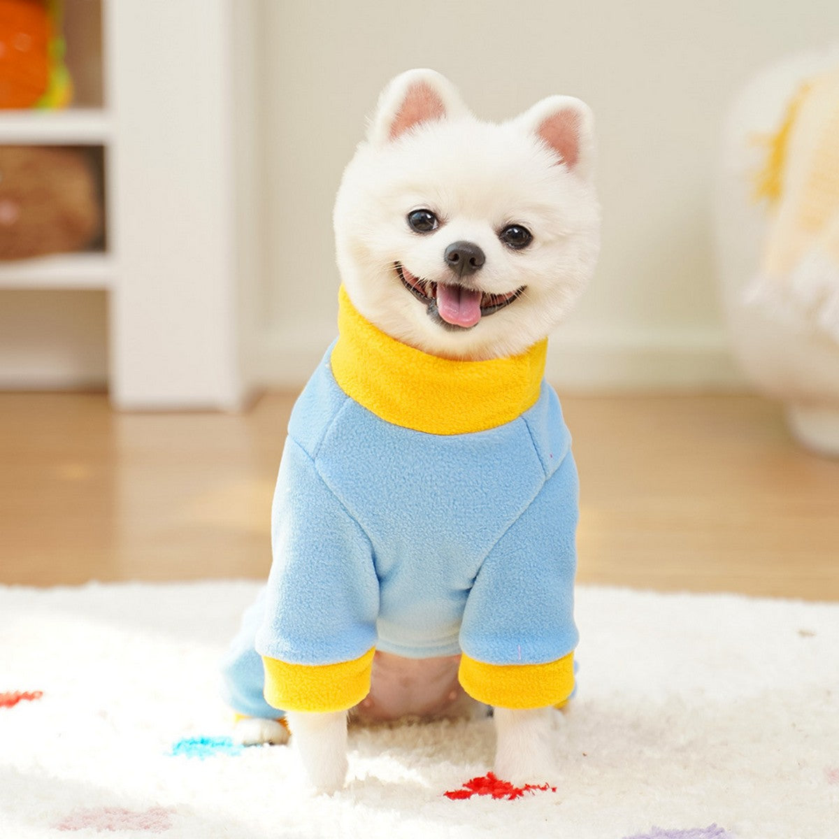Colorblock Pet Jumpsuit with Leash Ring_CWMM11180