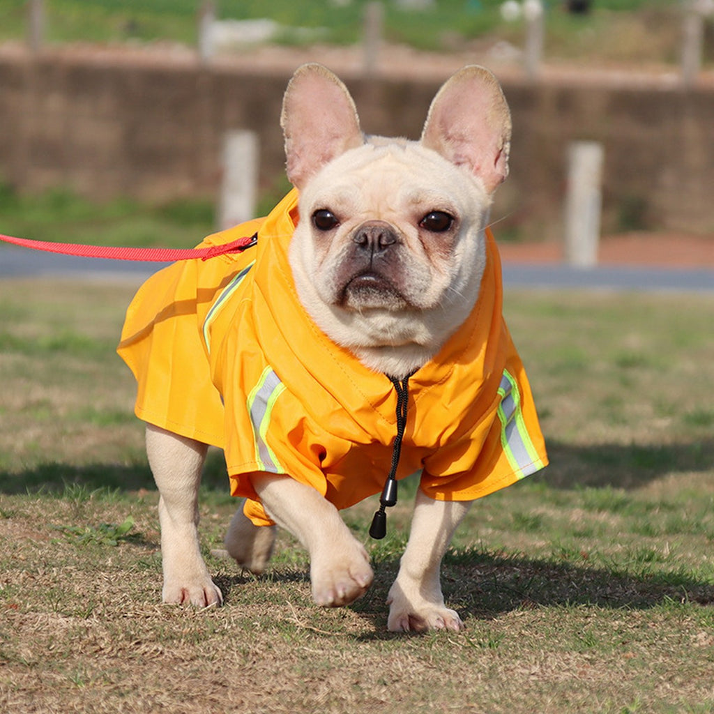 Outdoor Reflective Dog Raincoat for Large Dogs_CWMM12405