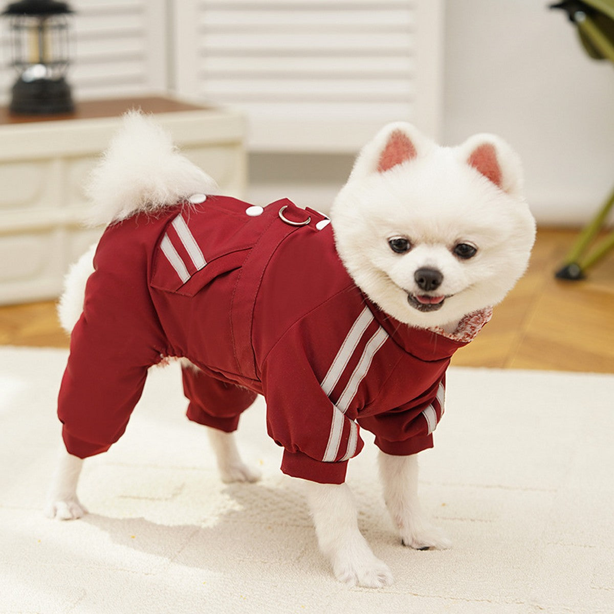 Waterproof Pet Jumpsuit – Warm Winter Coat_CWMM11171