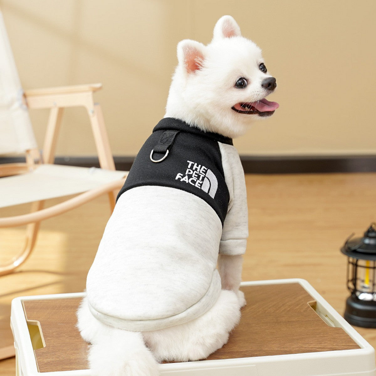 Fleece Lined Dog Clothes for Four Season_CWMM11123