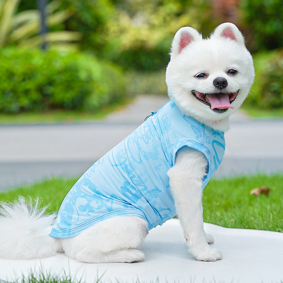 Cool Pet Tank Top – Breathable Cat Dog Outfit_CWMM11273