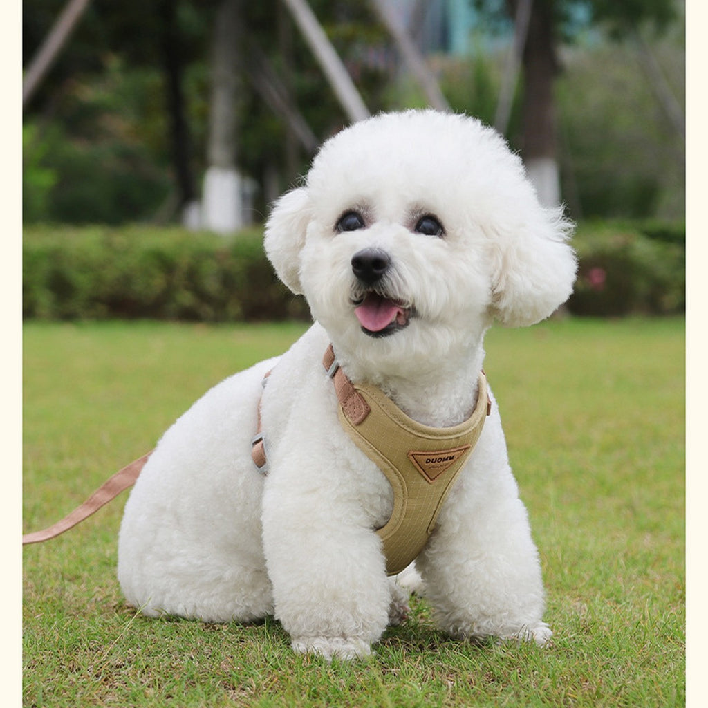 Small Dog Harness with Leash, Secure Fit_CWMM12567