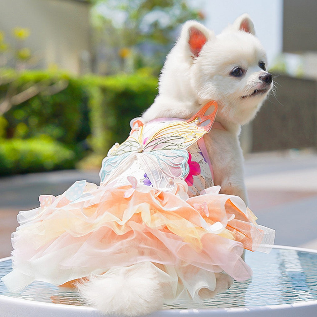 Fluffy Pet Dress with Bow – Princess Style_CWMM11080
