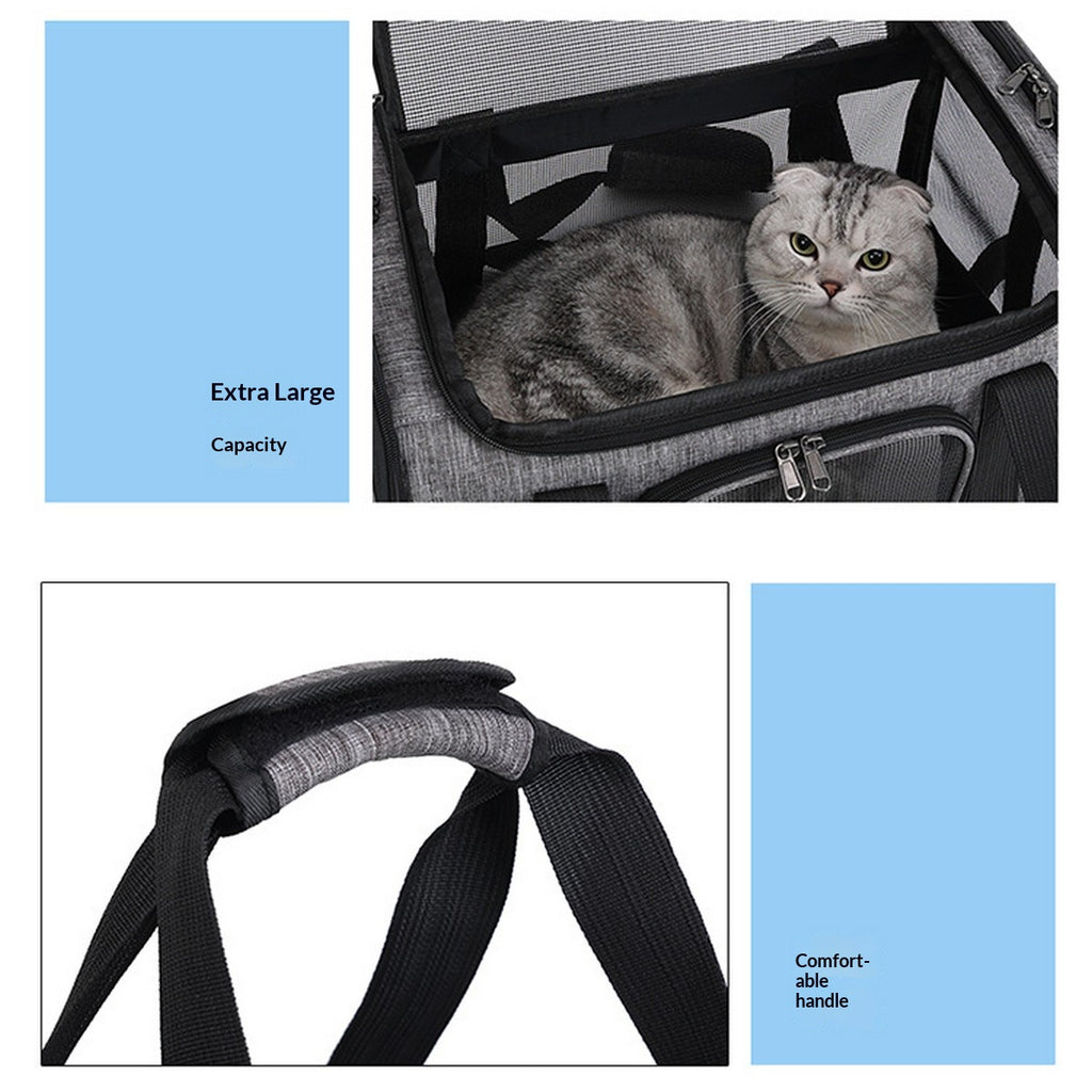 Lightweight Pet Travel Carrier for Small Pets_CWMM12932