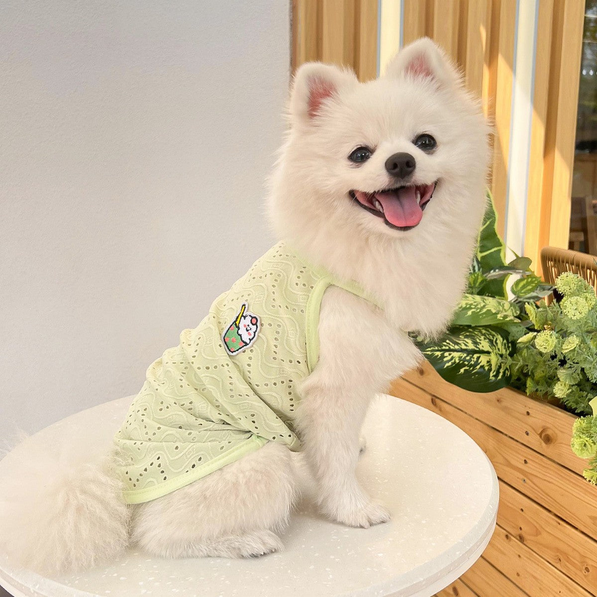 Wholesale Puppy Sleeveless Clothes  For Small Medium Dogs_CWMM11136