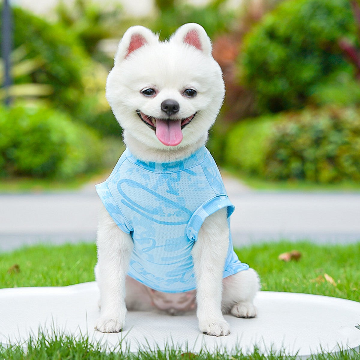 Cool Pet Tank Top – Breathable Cat Dog Outfit_CWMM11273