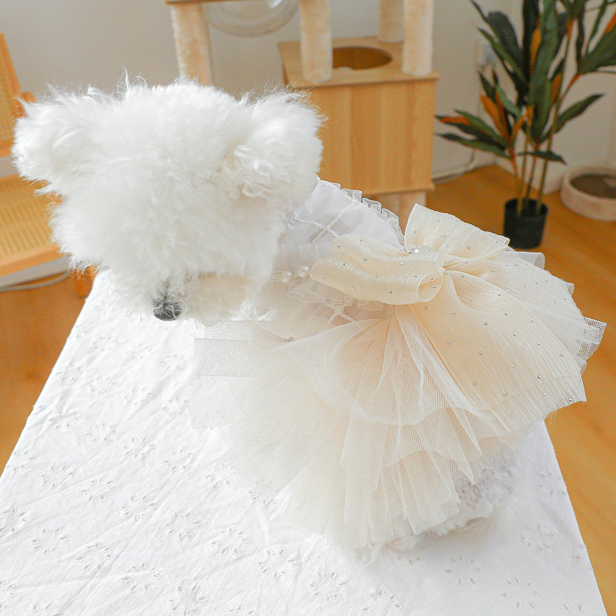 Pet Cozy Sissi Princess Wedding Skirt Dress_CWMM13041