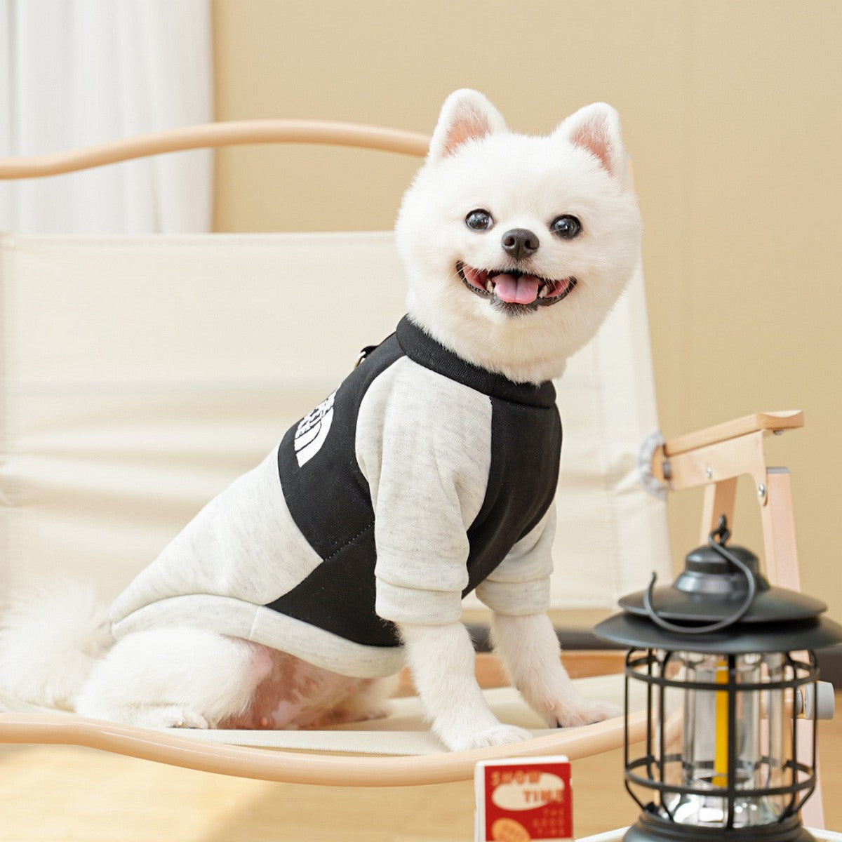 Fleece Lined Dog Clothes for Four Season_CWMM11123