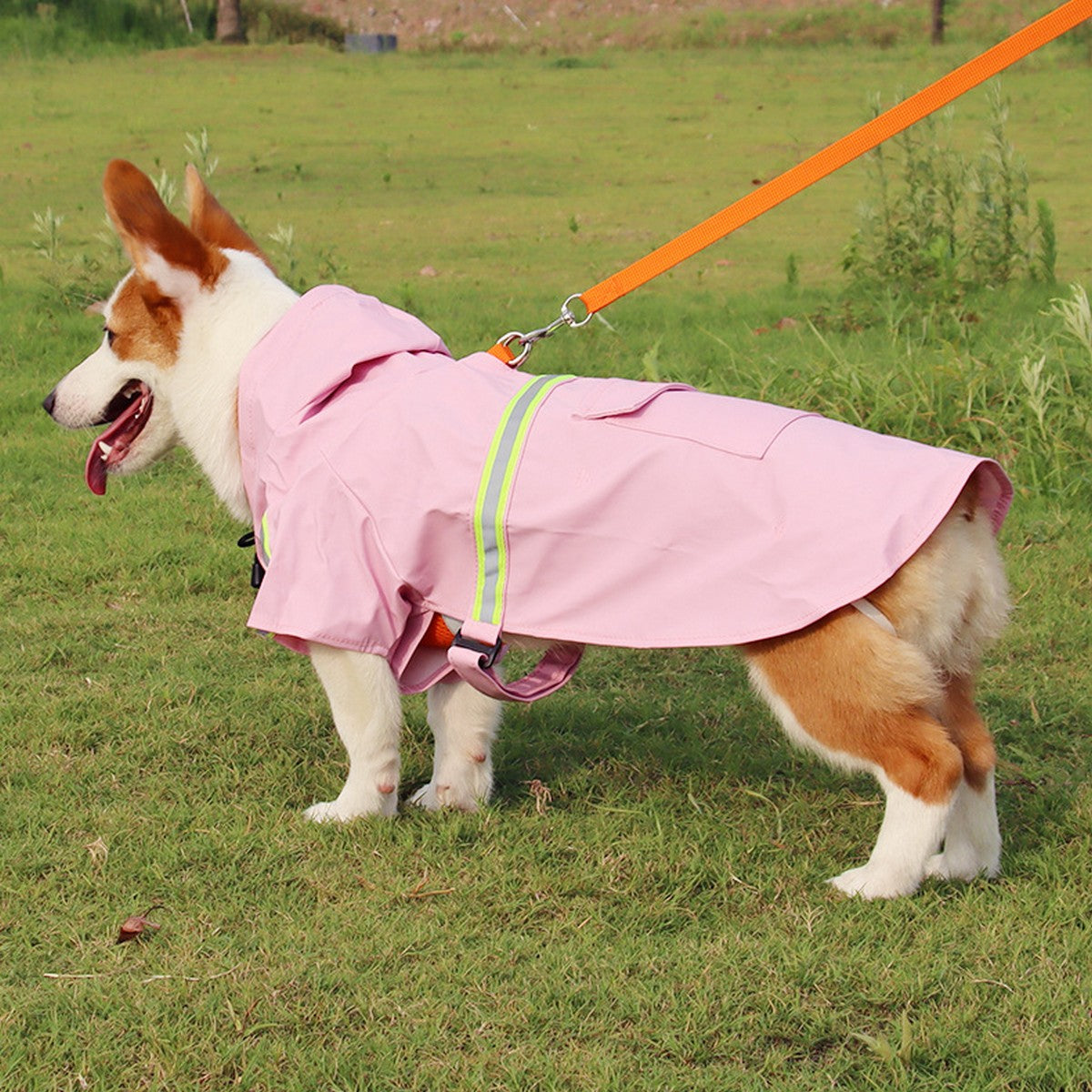 Outdoor Reflective Dog Raincoat for Large Dogs_CWMM12405