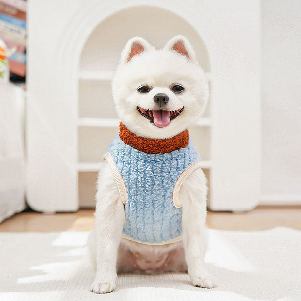 Plush Lion Suit for Hairless Pets Warmth Solution_CWMM11130