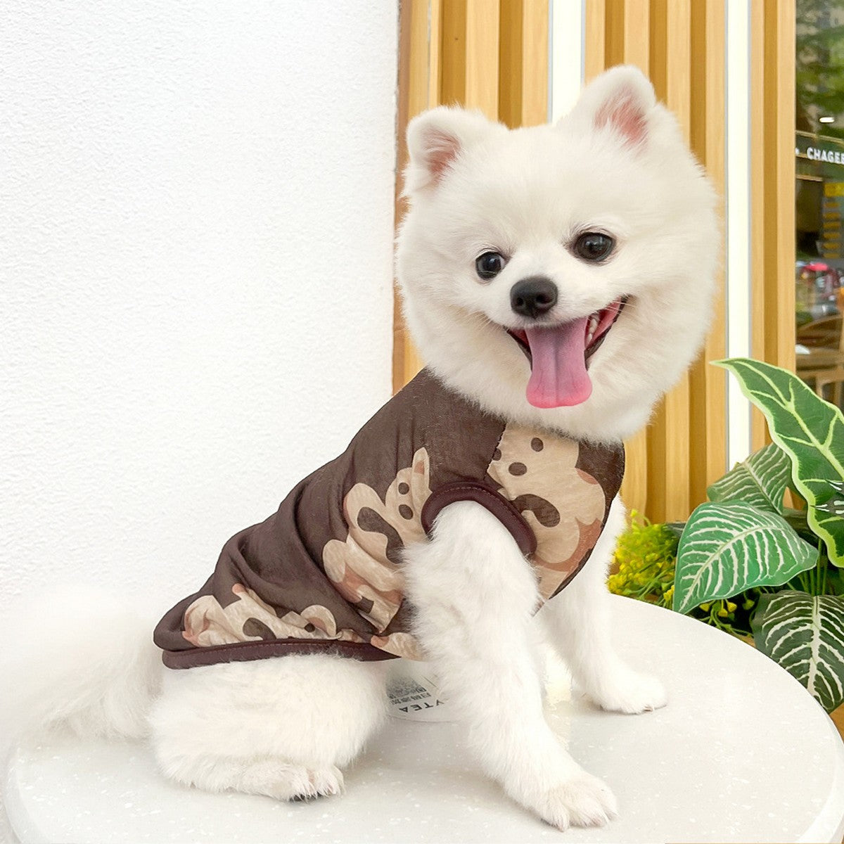 Large Dog Summer Vest  Bear Print Cooling Apparel_CWMM11135
