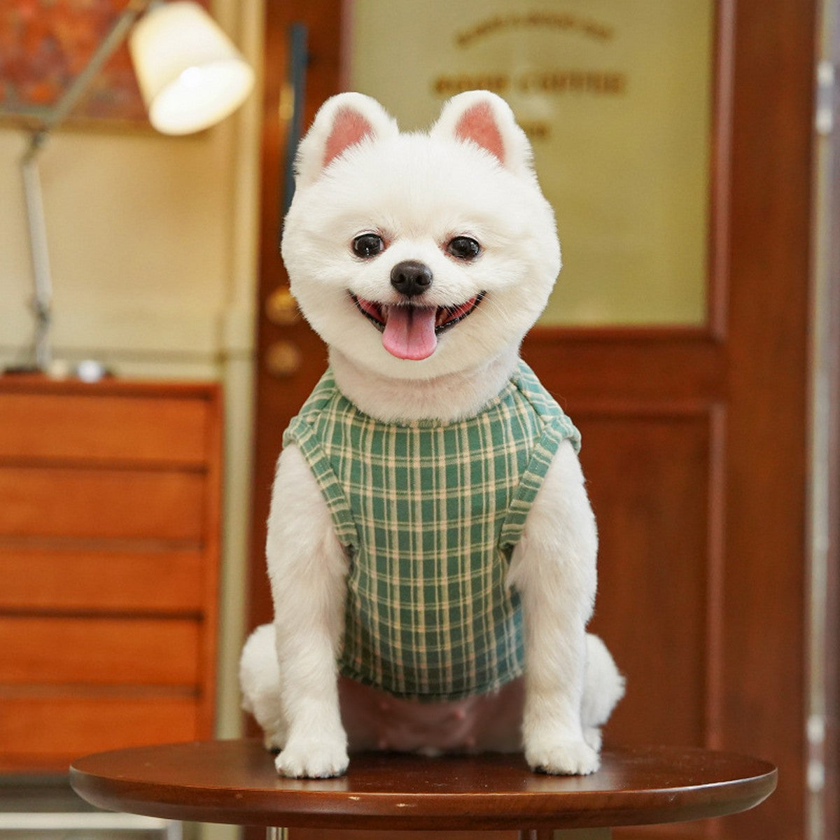 Plush Checkered Dog Turtleneck Outfit_CWMM11134