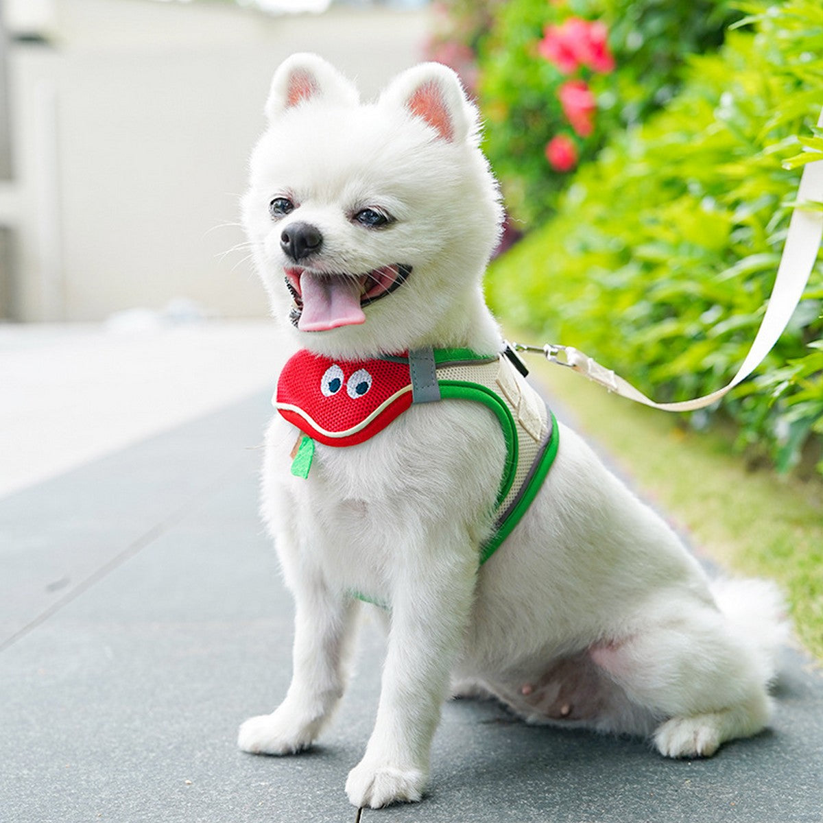 Pawsome Matching Set Cute Dog Bib with Mesh Harness_CWMM11131