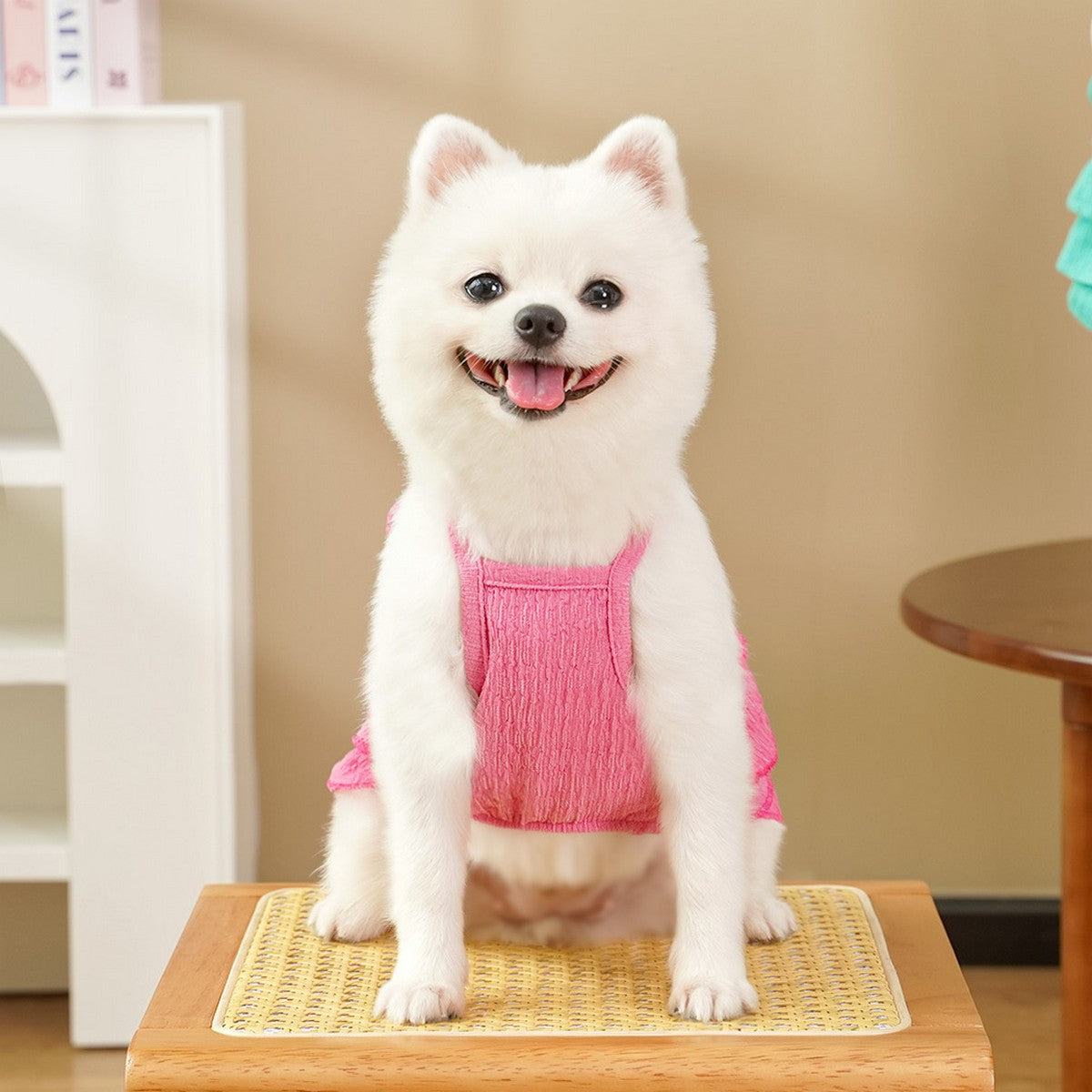 New Pet Tutu Dress Thin & Cute for Teddy and Bichon_CWMM11140