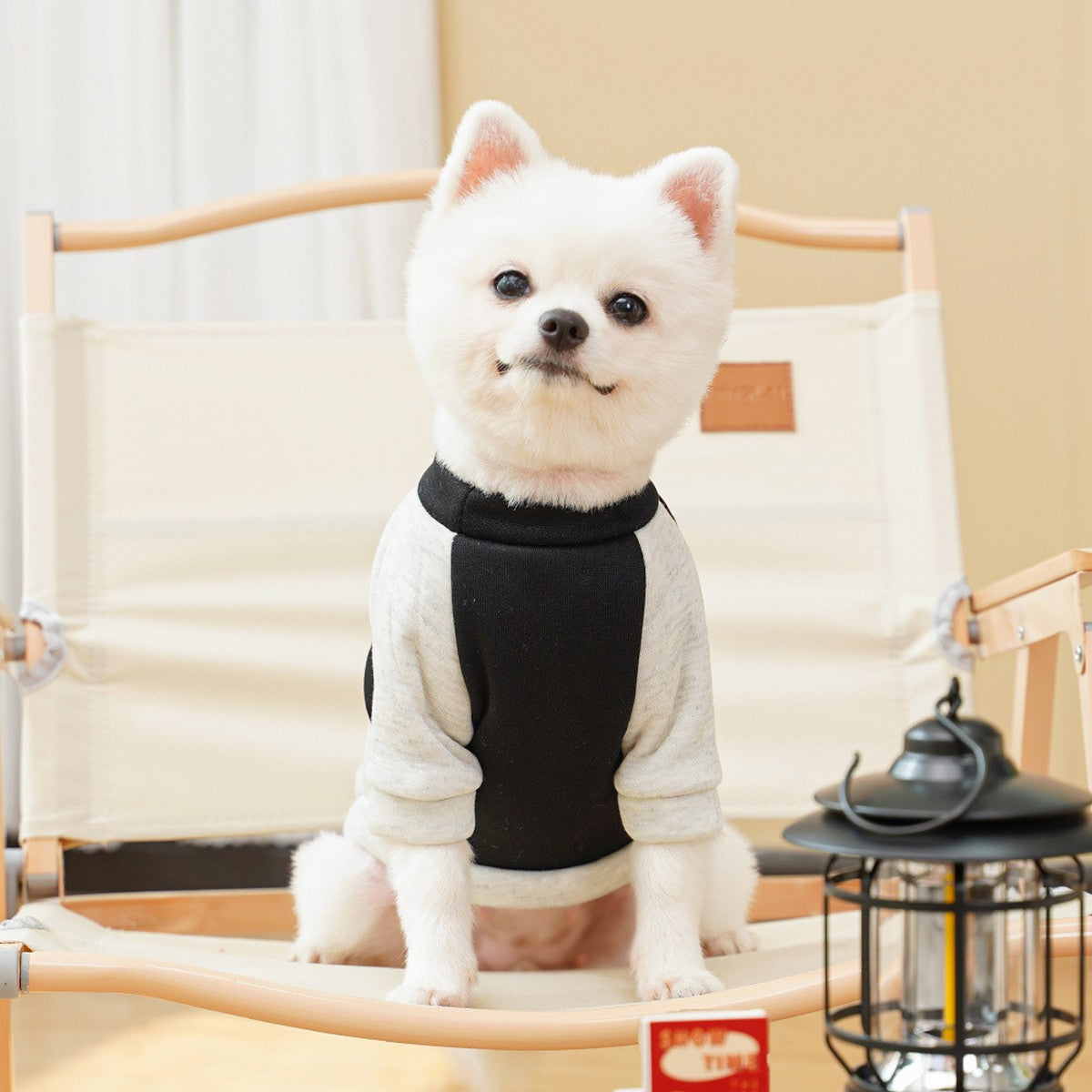 Fleece Lined Dog Clothes for Four Season_CWMM11123