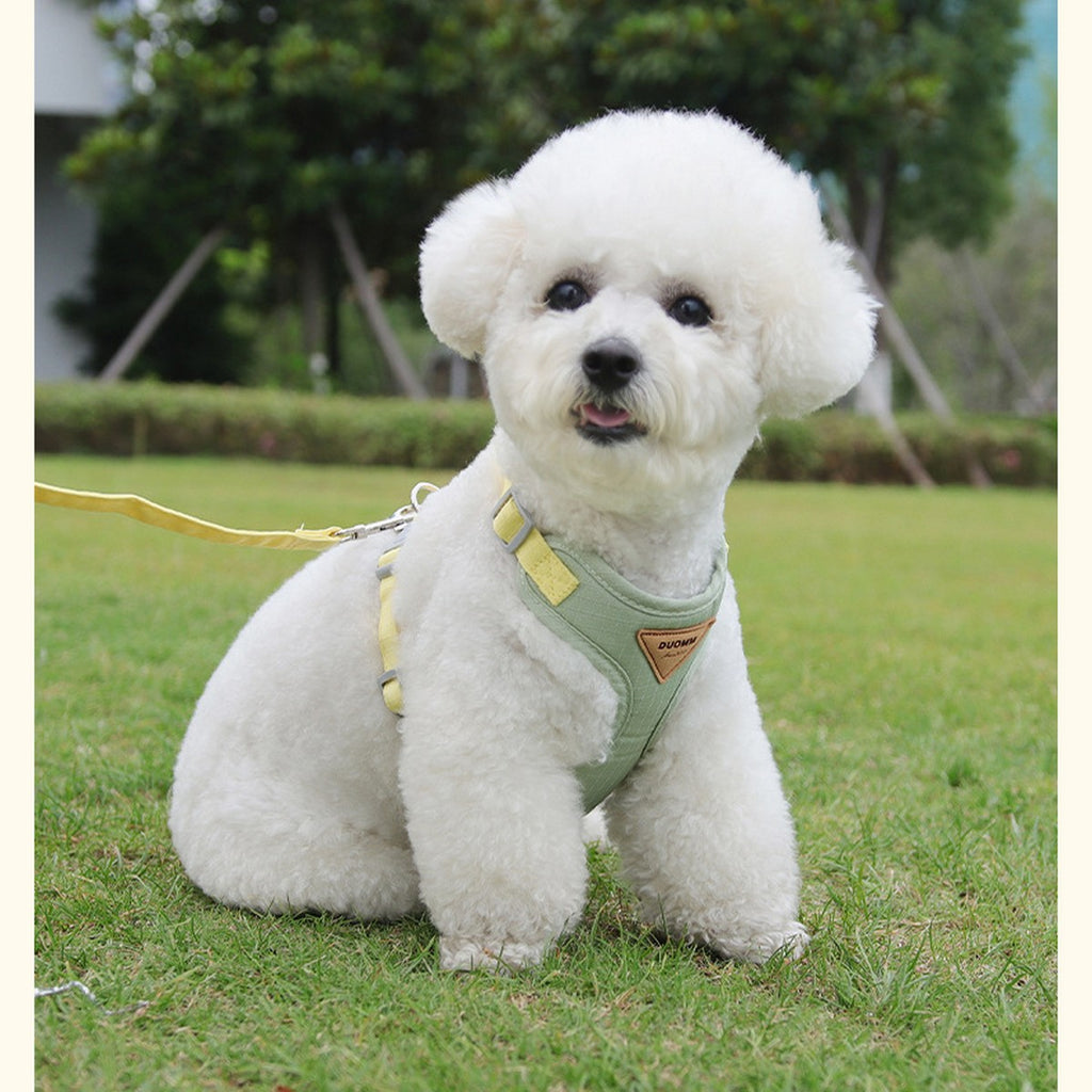 Small Dog Harness with Leash, Secure Fit_CWMM12567
