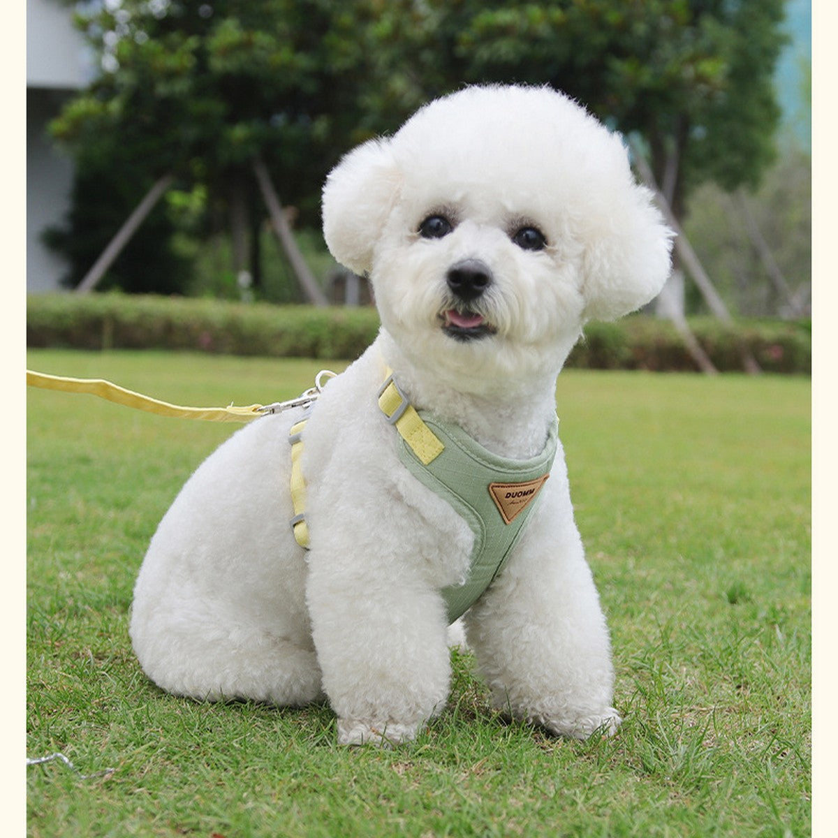 Small Dog Harness with Leash, Secure Fit_CWMM12567