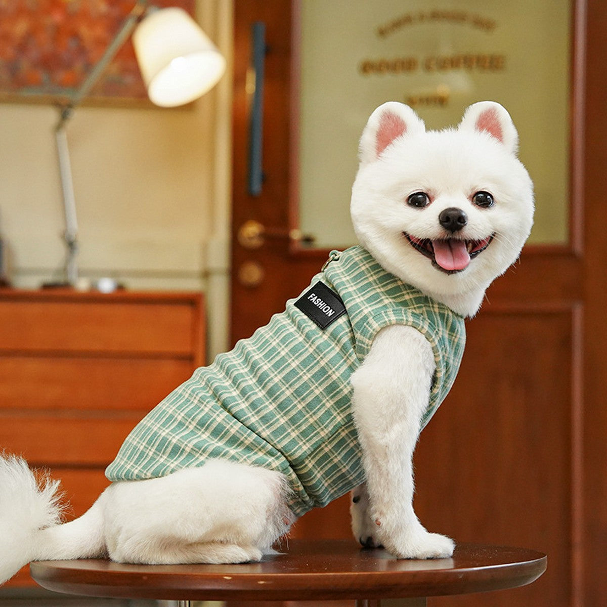 Plush Checkered Dog Turtleneck Outfit_CWMM11134