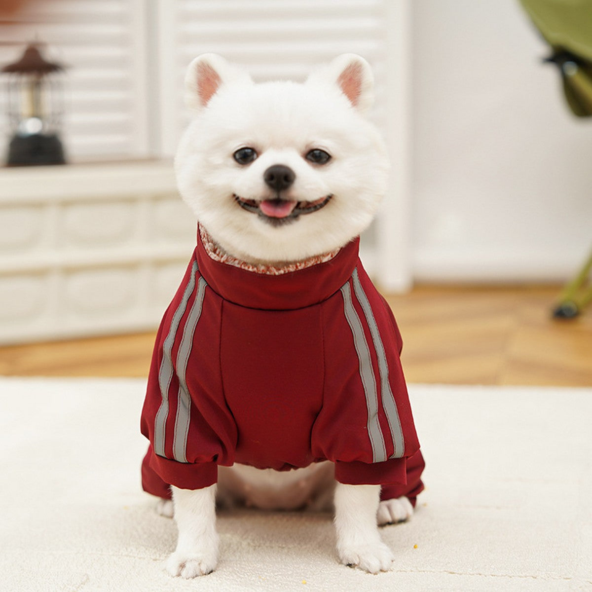 Waterproof Pet Jumpsuit – Warm Winter Coat_CWMM11171
