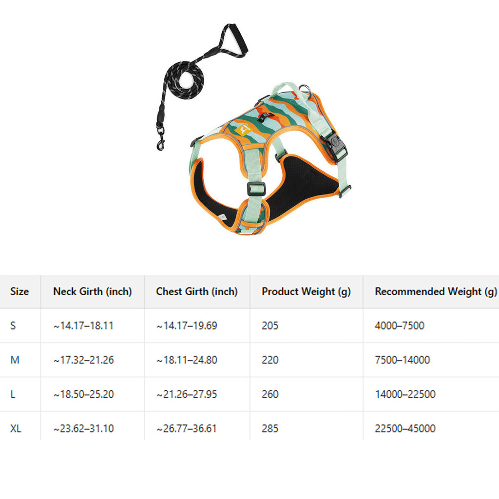 Printed Dog Harness and Leash for Active Dogs_CWMM12509