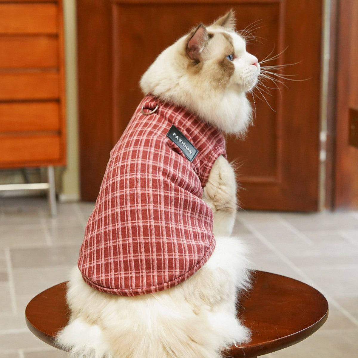 Plush Checkered Dog Turtleneck Outfit_CWMM11134