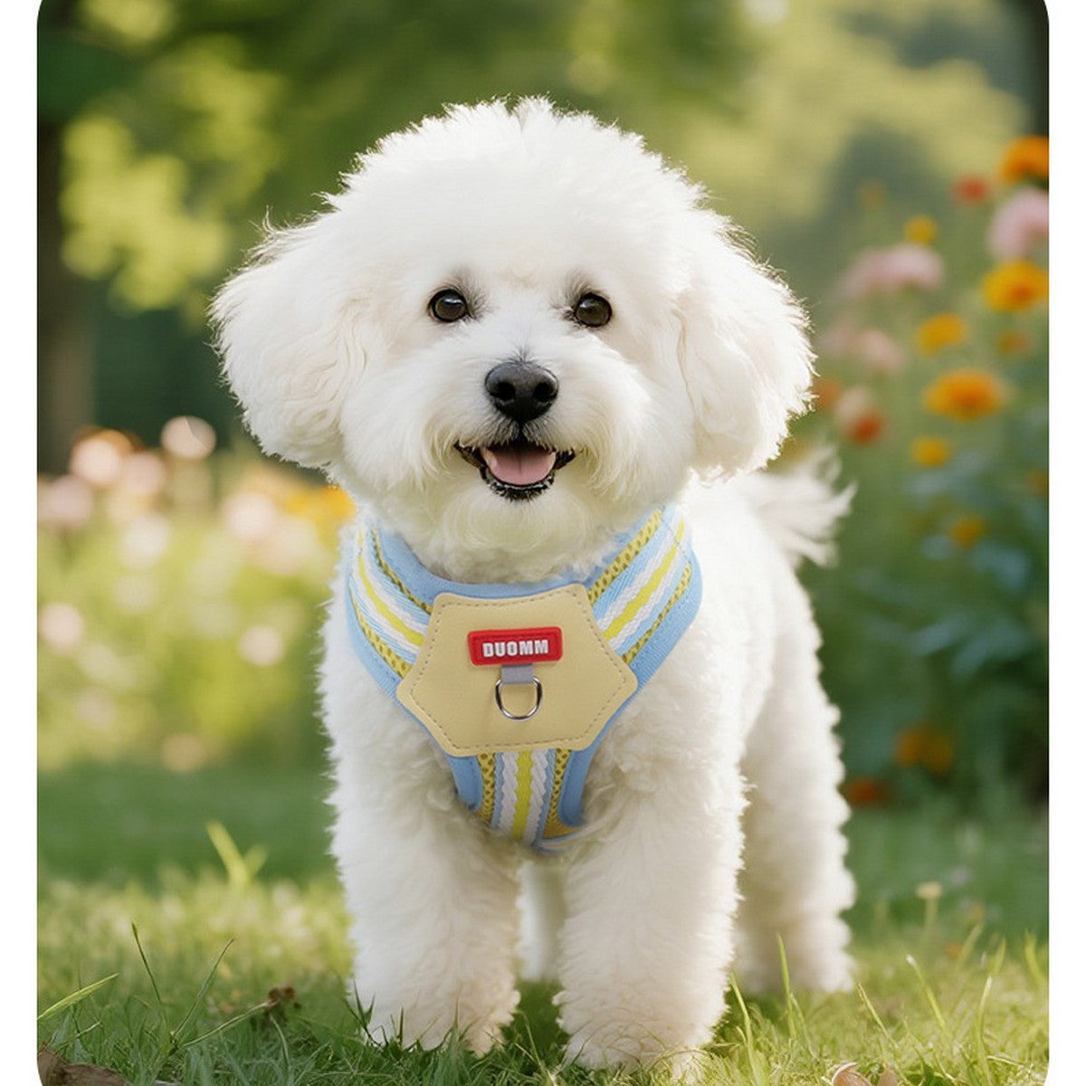 Colorblock Dog Harness, Breathable Mesh with Leash_CWMM12440