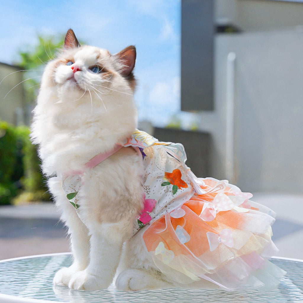 Fluffy Pet Dress with Bow – Princess Style_CWMM11080