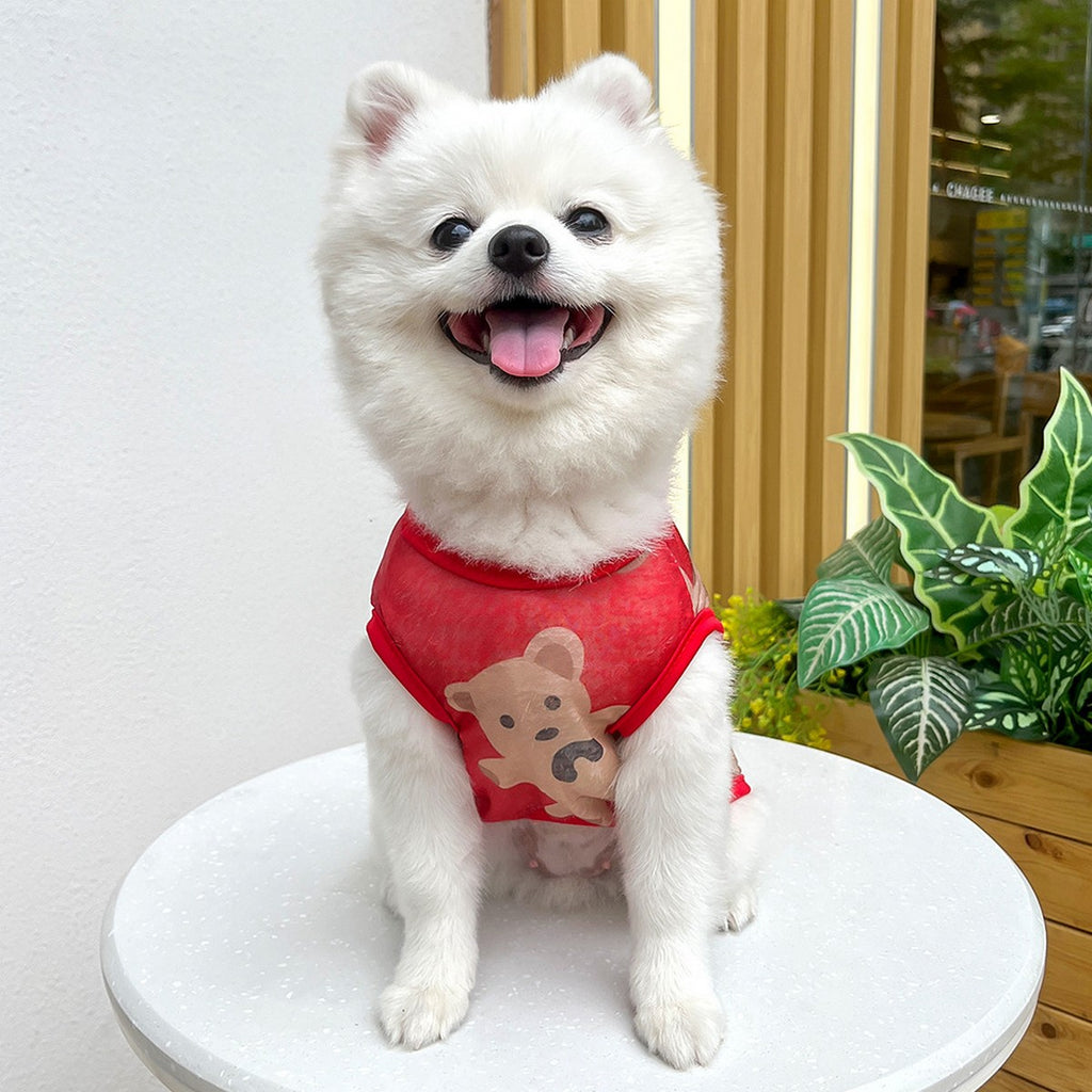 Large Dog Summer Vest  Bear Print Cooling Apparel_CWMM11135