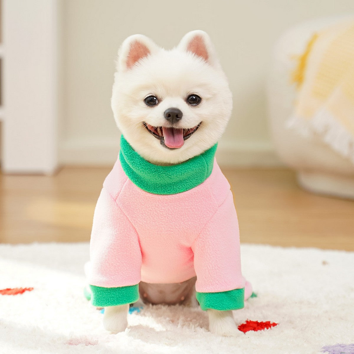 Colorblock Pet Jumpsuit with Leash Ring_CWMM11180