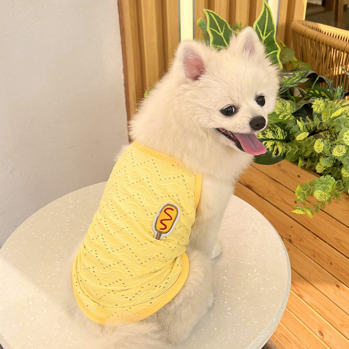 Wholesale Puppy Sleeveless Clothes  For Small Medium Dogs_CWMM11136