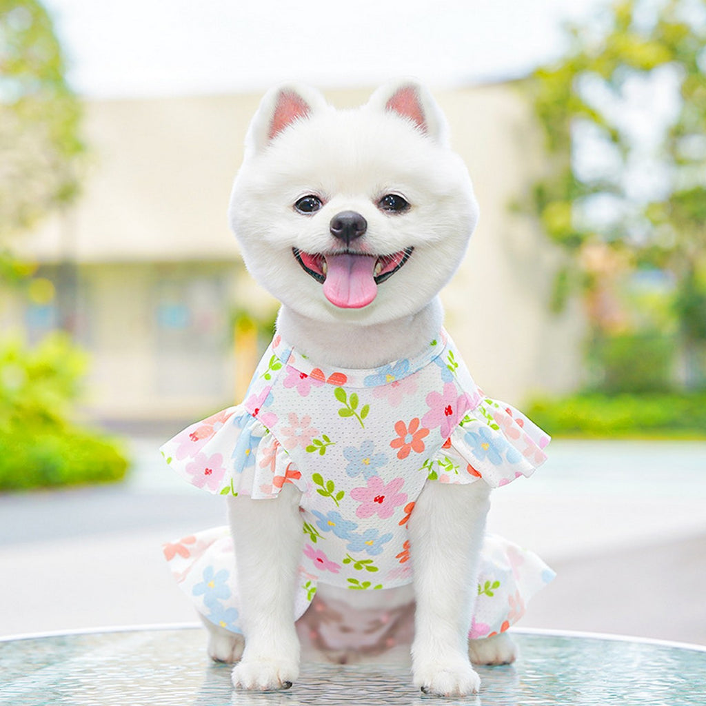 Summer Pet Dress – Ice Silk Cool Floral Outfit_CWMM11118