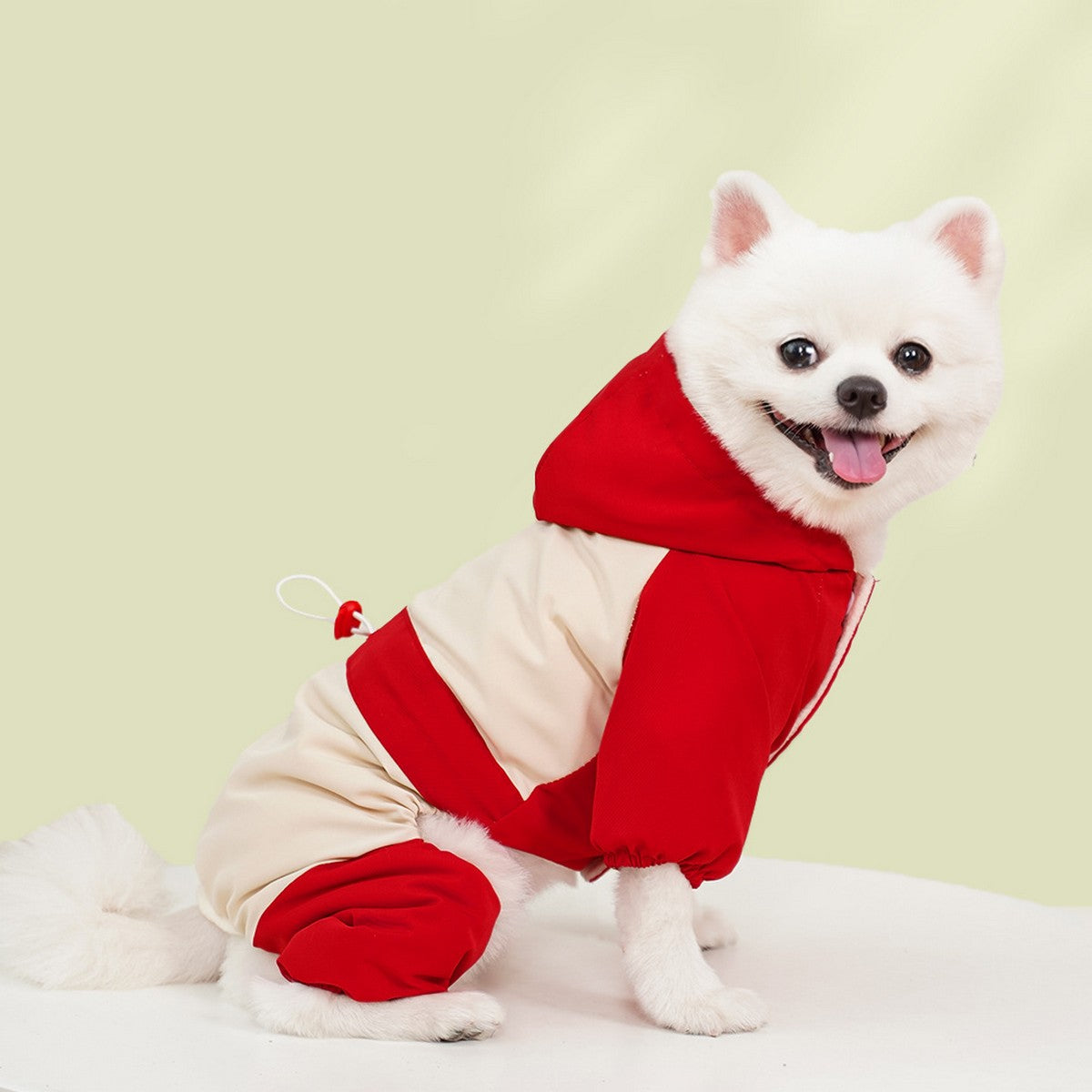 Waterproof 4-Leg Winter Jacket for Large Dogs_CWMM11079