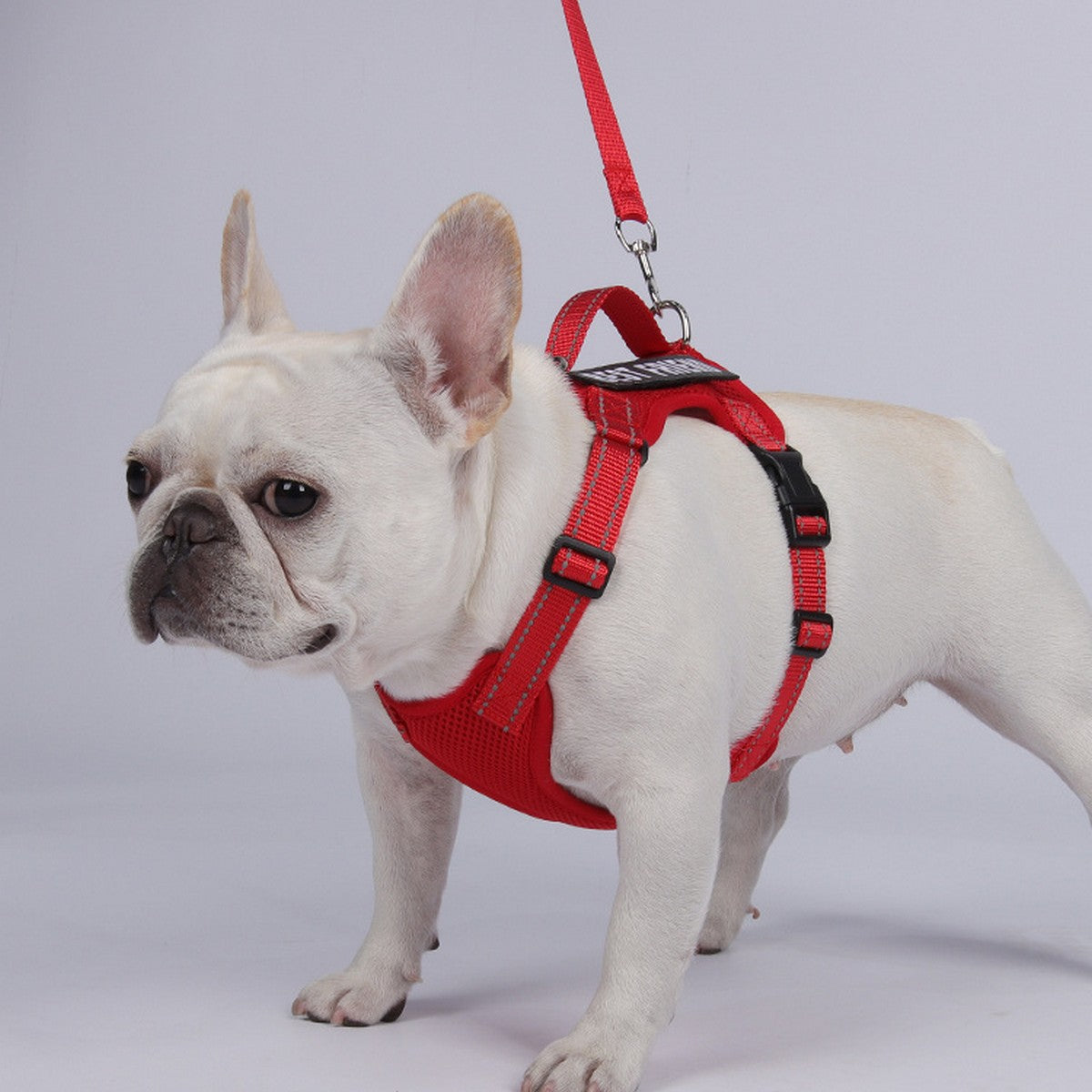 Reflective Service Dog Harness with Leash_CWMM12488