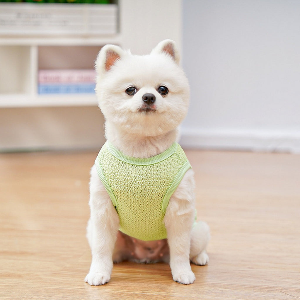 Mesh Pet Vest – Breathable Stretch Summer Top_CWMM11229