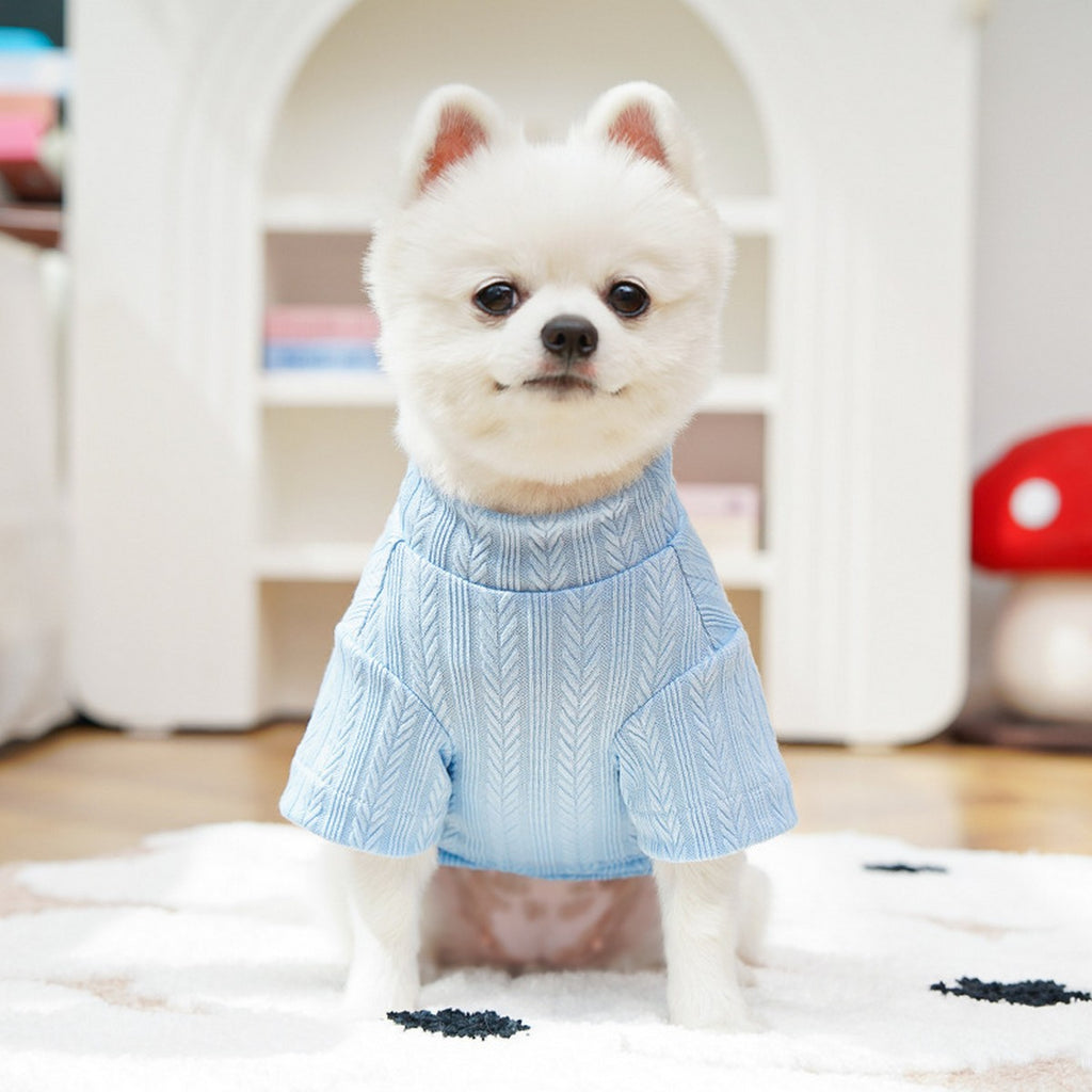 Elastic Pet Undershirt – Soft Fall Winter Outfit_CWMM11074
