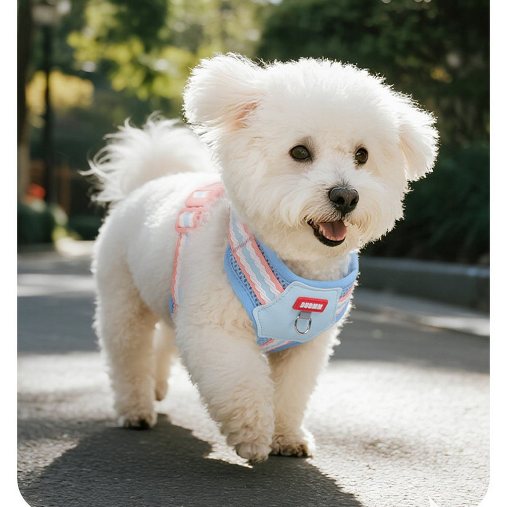 Breathable Dog Harness and Leash Set, Cute Plush_CWMM12439