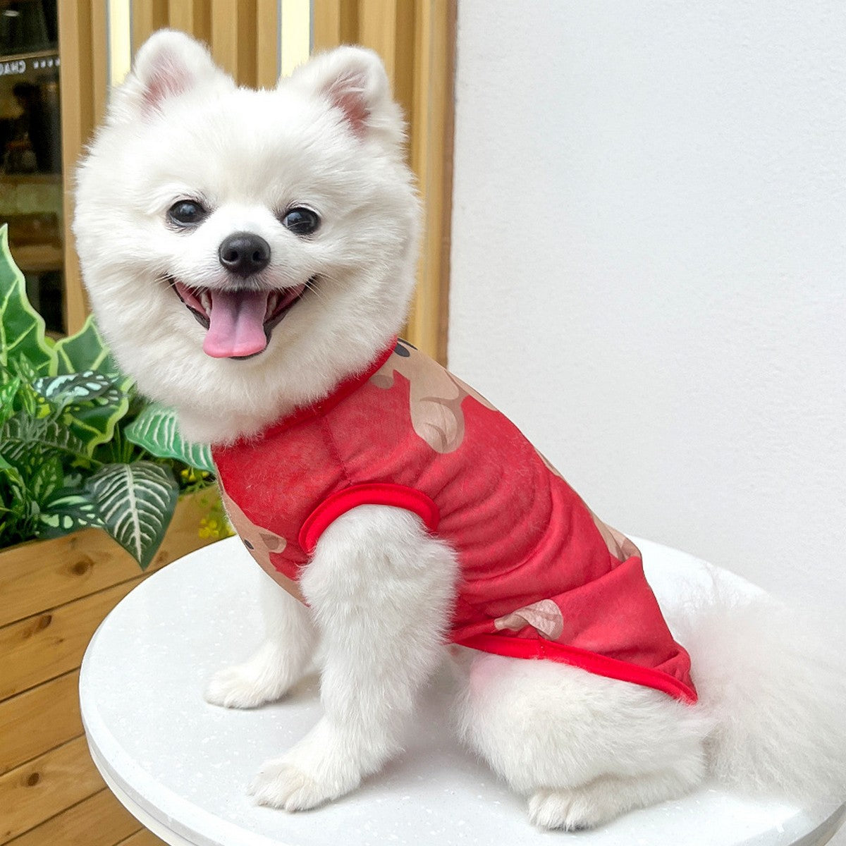 Large Dog Summer Vest  Bear Print Cooling Apparel_CWMM11135