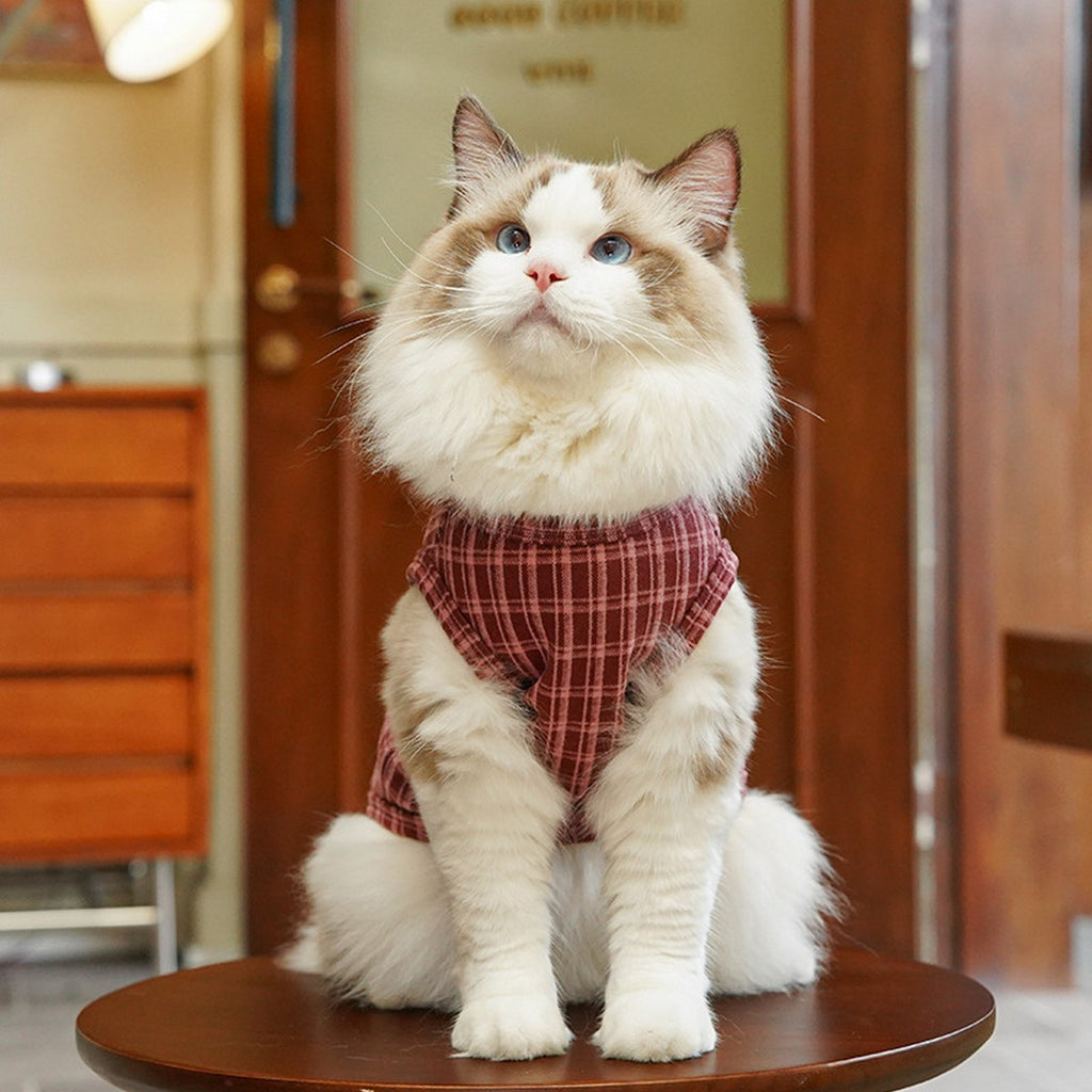 Plush Checkered Dog Turtleneck Outfit_CWMM11134