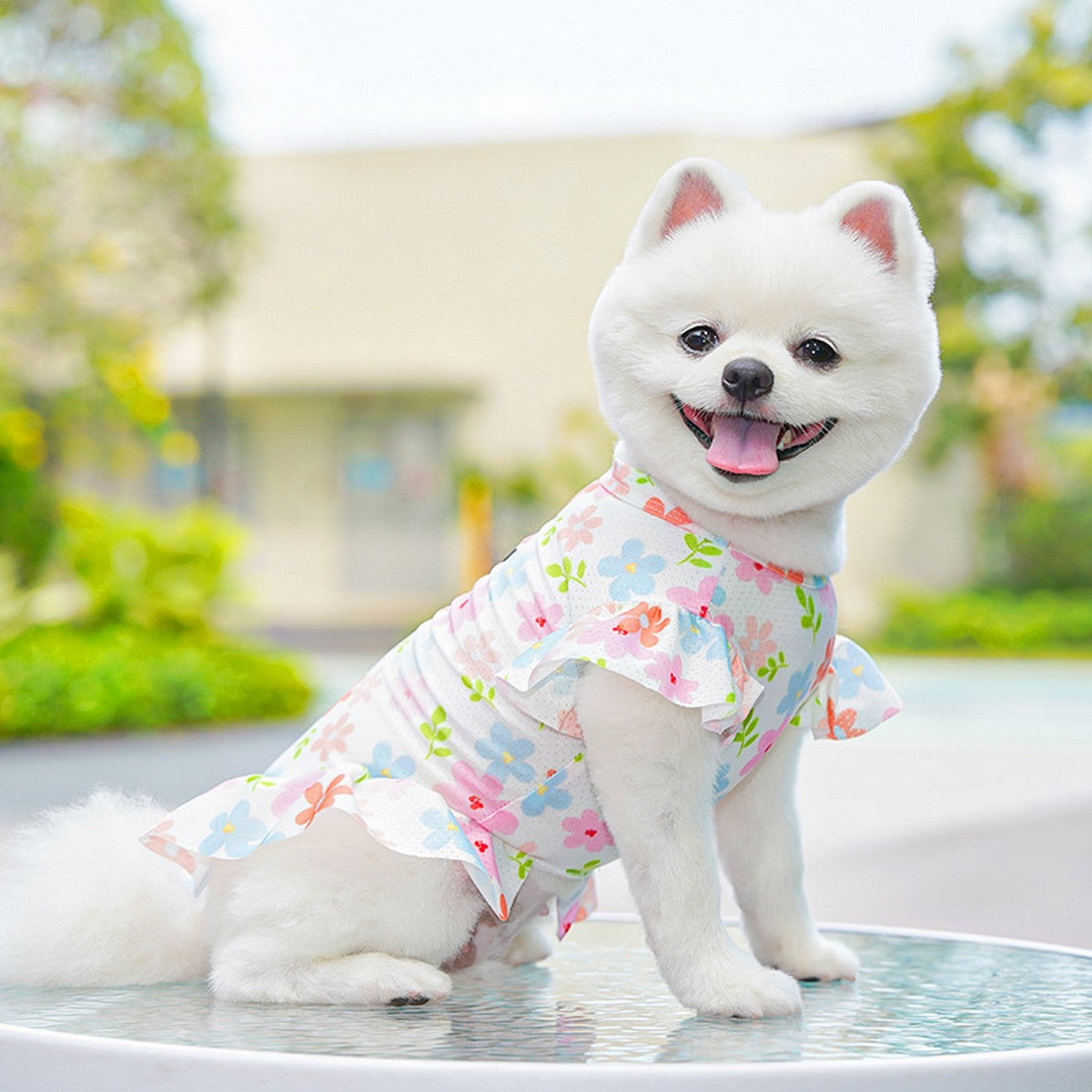 Summer Pet Dress – Ice Silk Cool Floral Outfit_CWMM11118