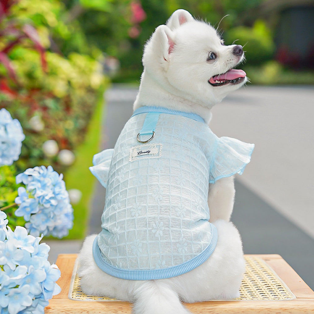 Flutter Sleeve Top with Soft Stretch_CWMM11127