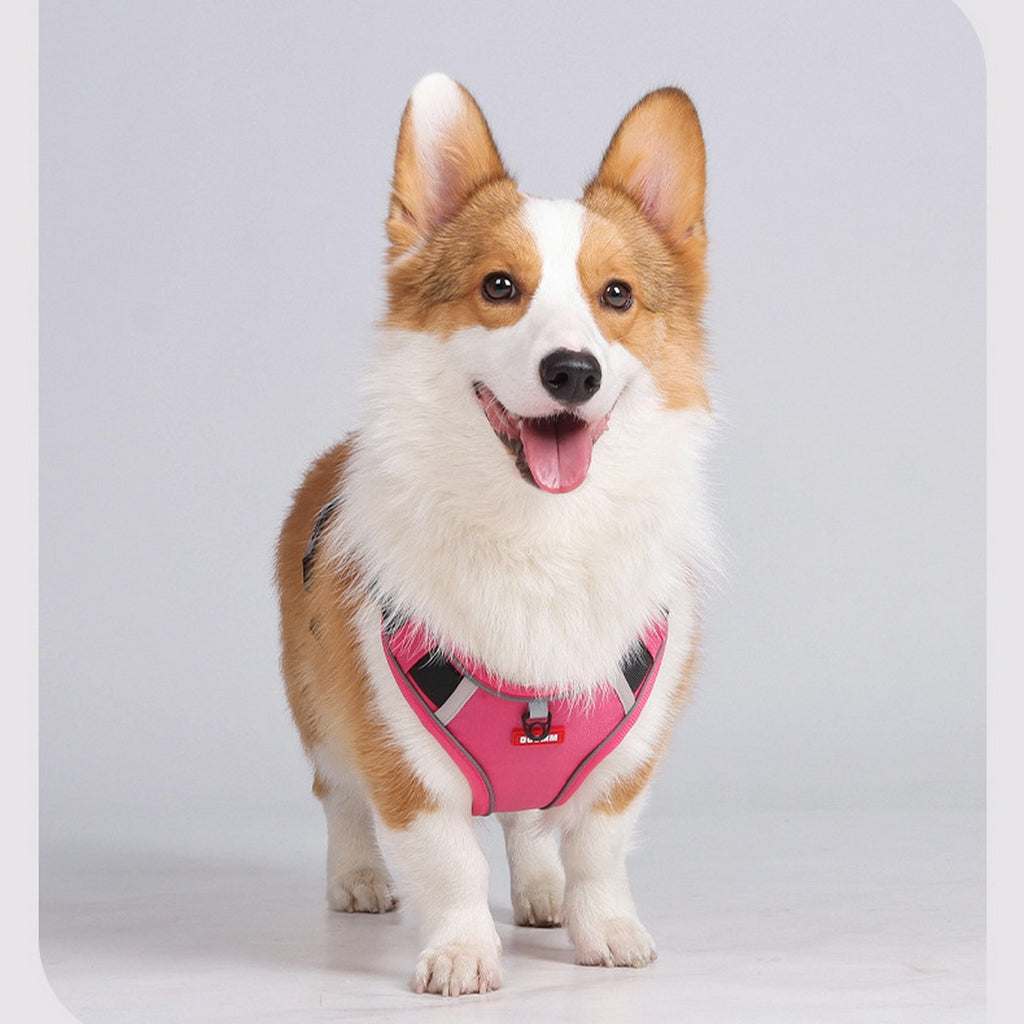 Dog Harness and Leash Set with Tracker Holder_CWMM12486