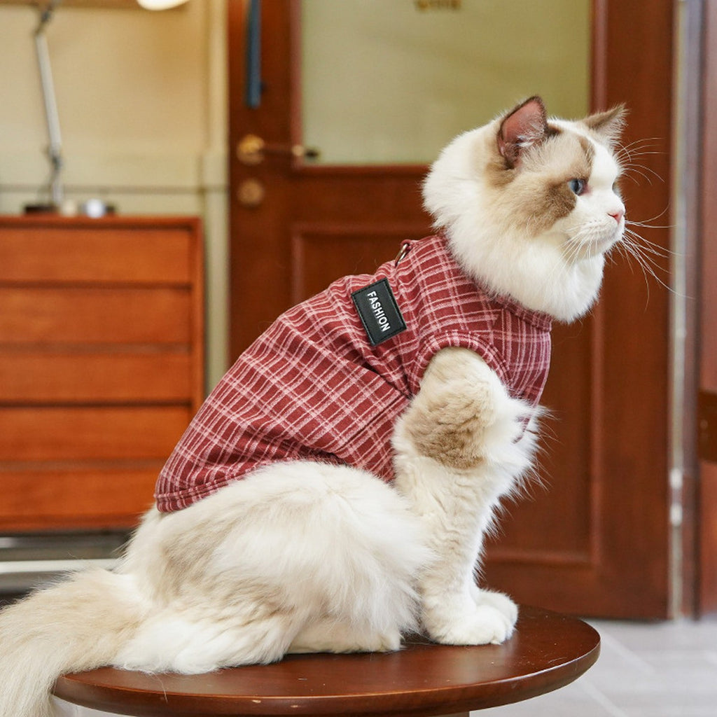 Plush Checkered Dog Turtleneck Outfit_CWMM11134