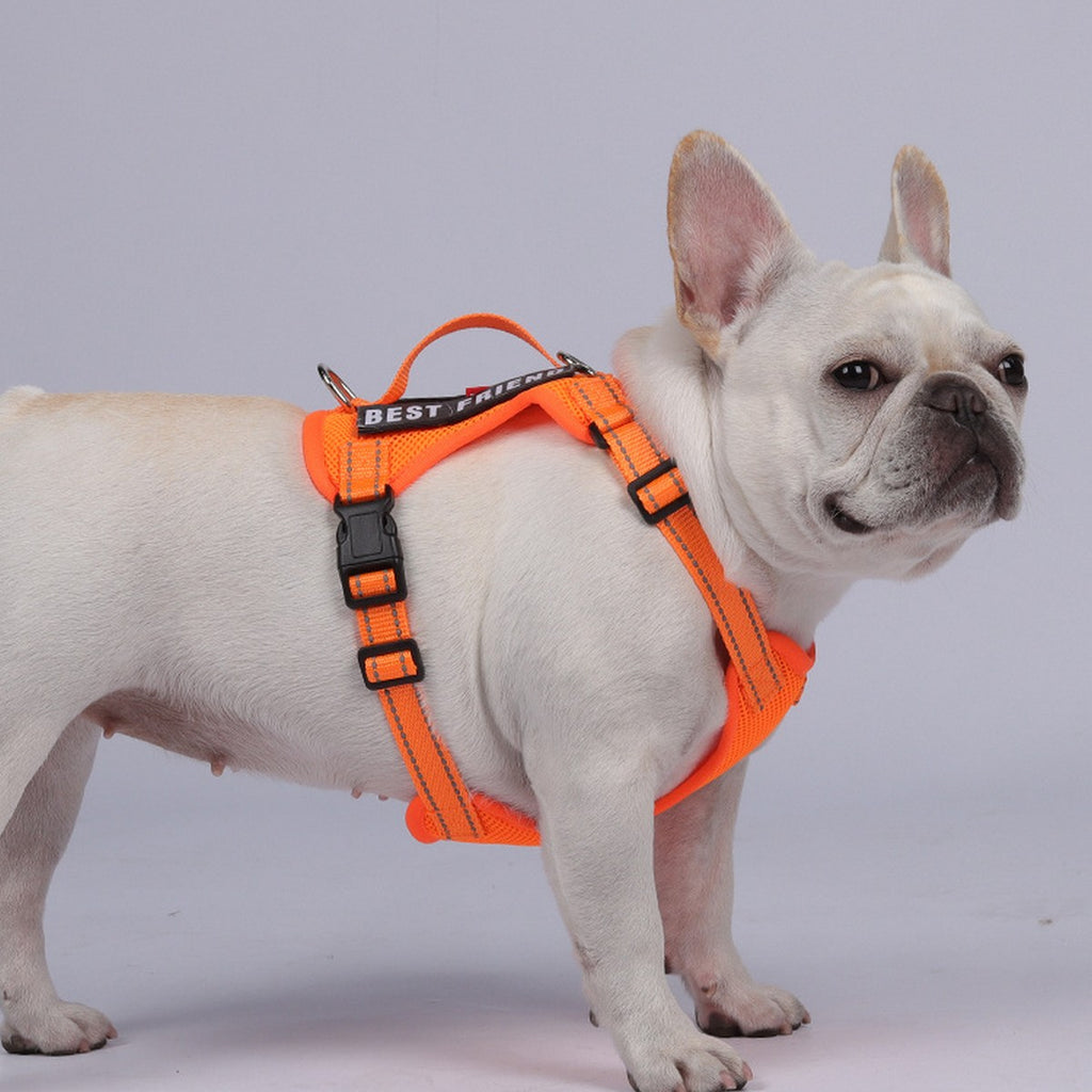 Reflective Service Dog Harness with Leash_CWMM12488