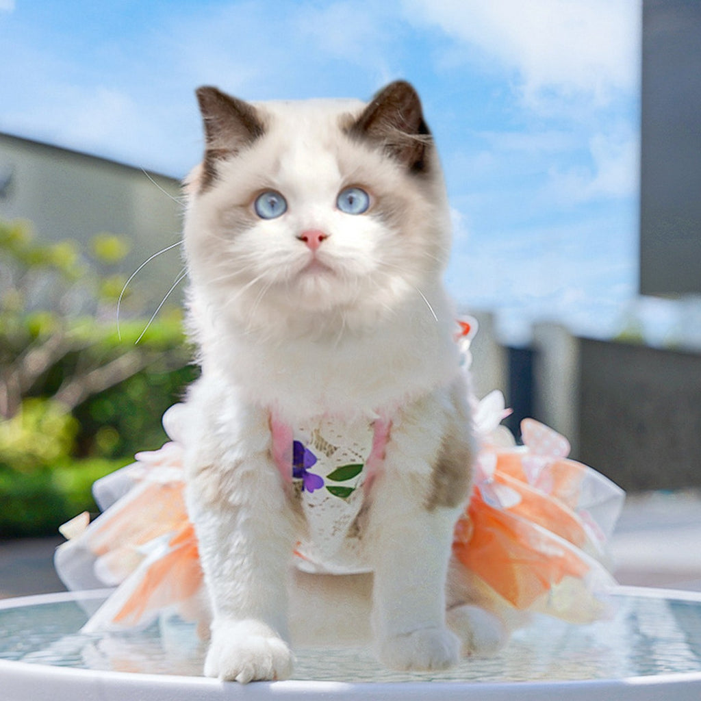 Fluffy Pet Dress with Bow – Princess Style_CWMM11080