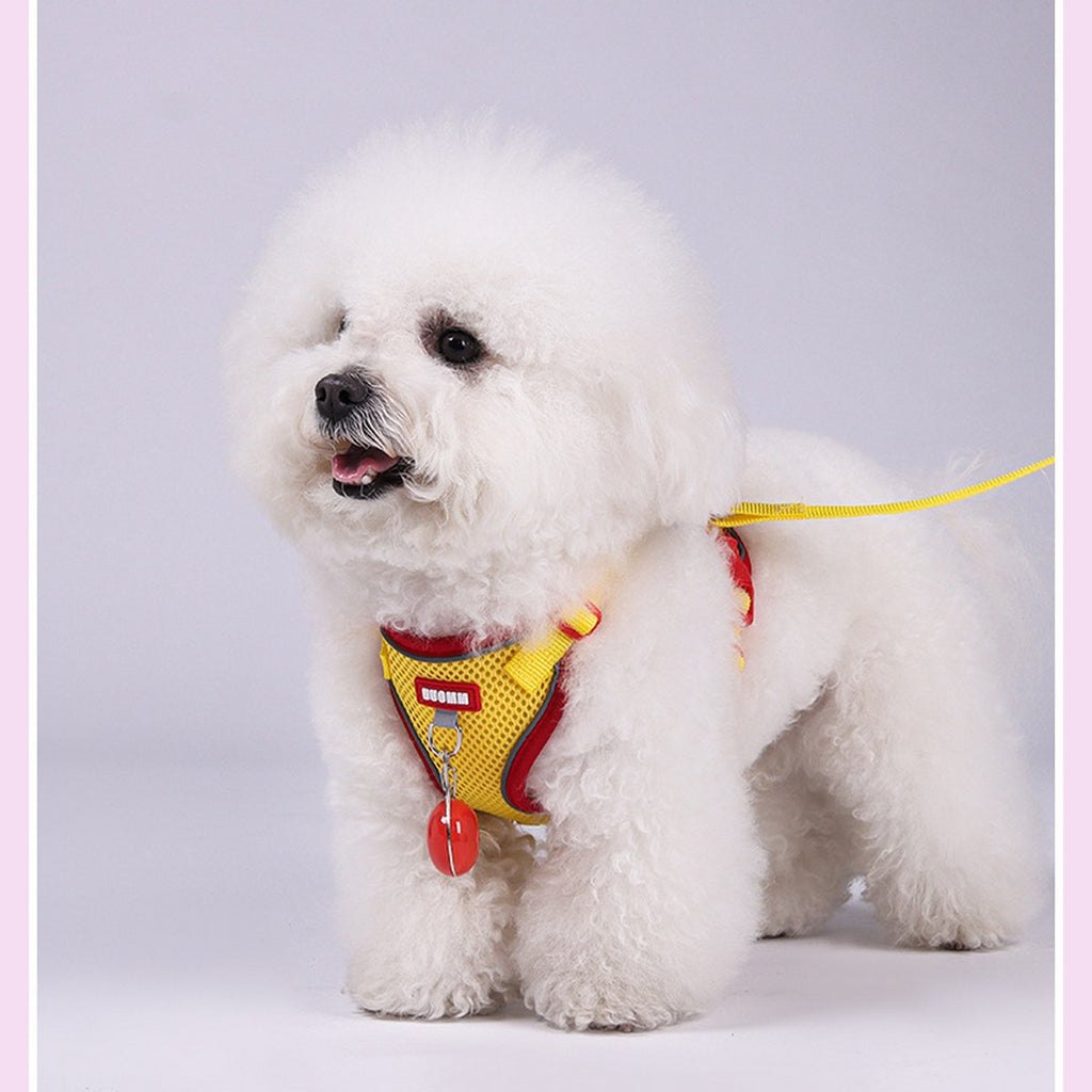 Comfort Fit Dog Vest Harness with Leash_CWMM12569