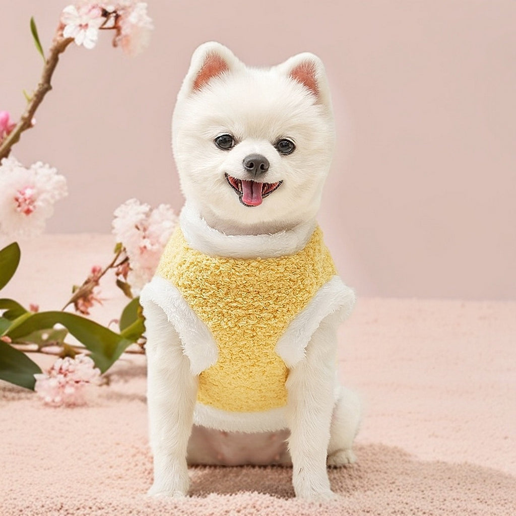 Thick Pet Coat – New Year Warm Dog Cat Wear_CWMM11293