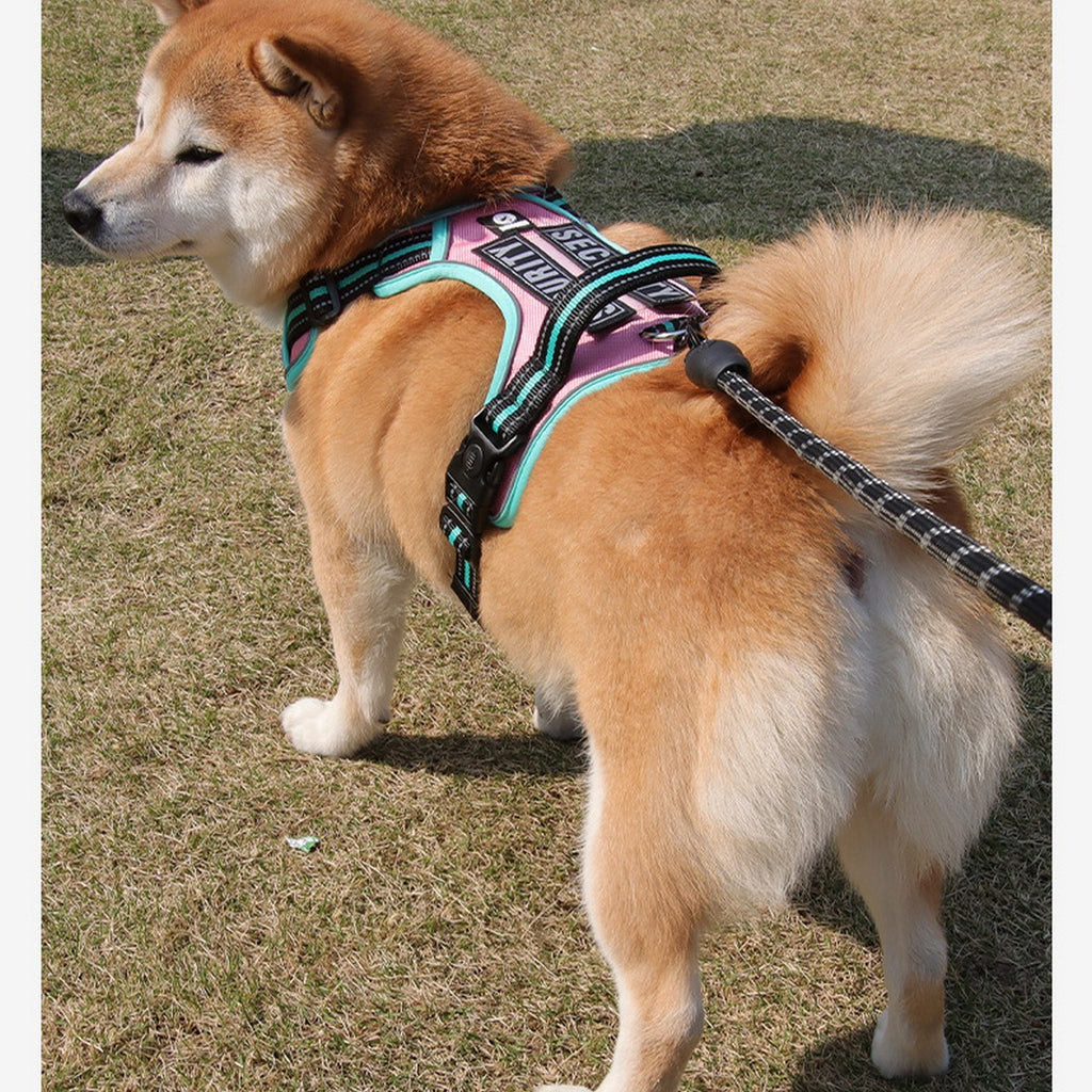 Wear Resistant Reflective Dog Vest Harness_CWMM12511